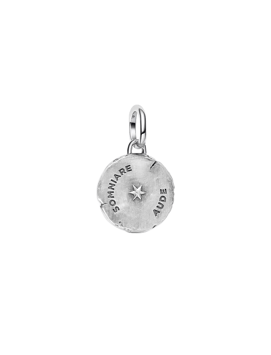 Pandora - Butterfly Medallion Charm - clear - 2