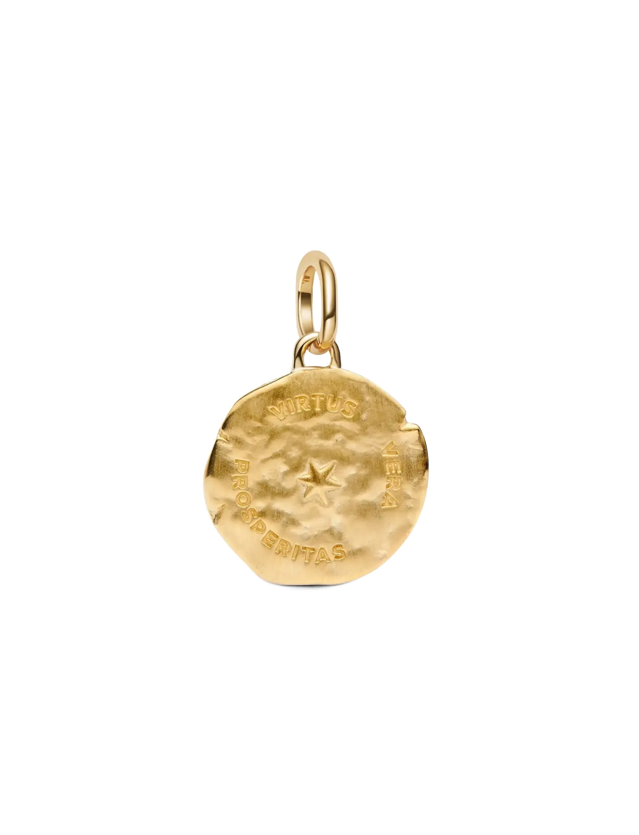 Pandora - Wheat Medallion Charm - hängen & berlocker - clear - 2