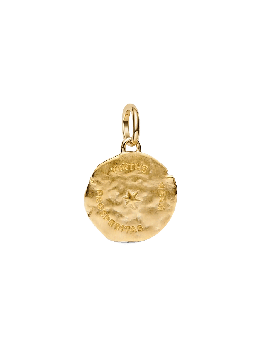 Pandora - Wheat Medallion Charm - hängen & berlocker - clear - 2