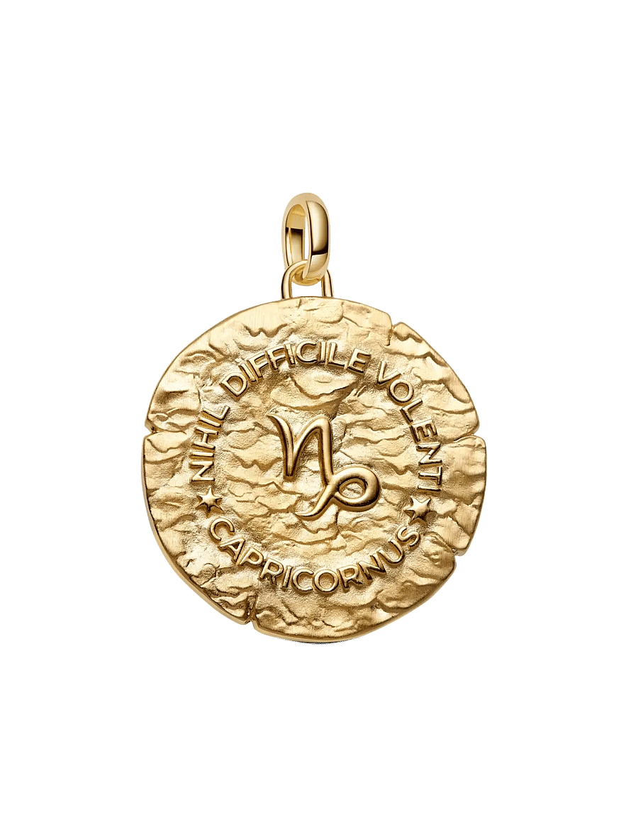 Pandora - Capricorn Zodiac Oversized Medallion Charm - clear - 2