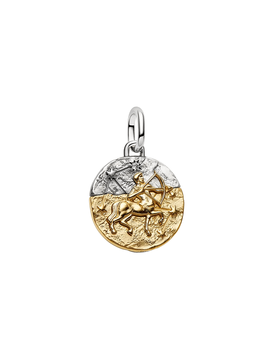 Pandora - Aquarius Zodiac Oversized Medallion Charm - pendentifs - clear - 1