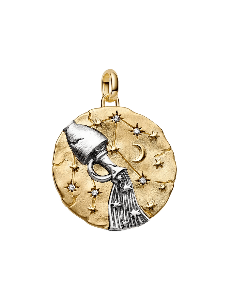 Pandora - Aquarius Zodiac Oversized Medallion Charm - clear - 1