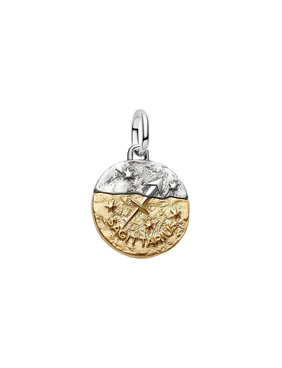 Pandora - Aquarius Zodiac Oversized Medallion Charm - pendentifs - clear - 2
