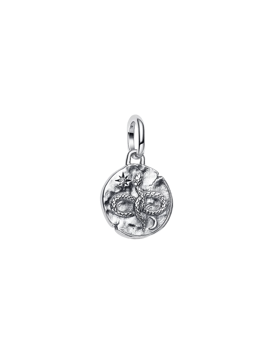 Pandora - Infinity Snake Medallion Charm - pendentifs - clear - 1