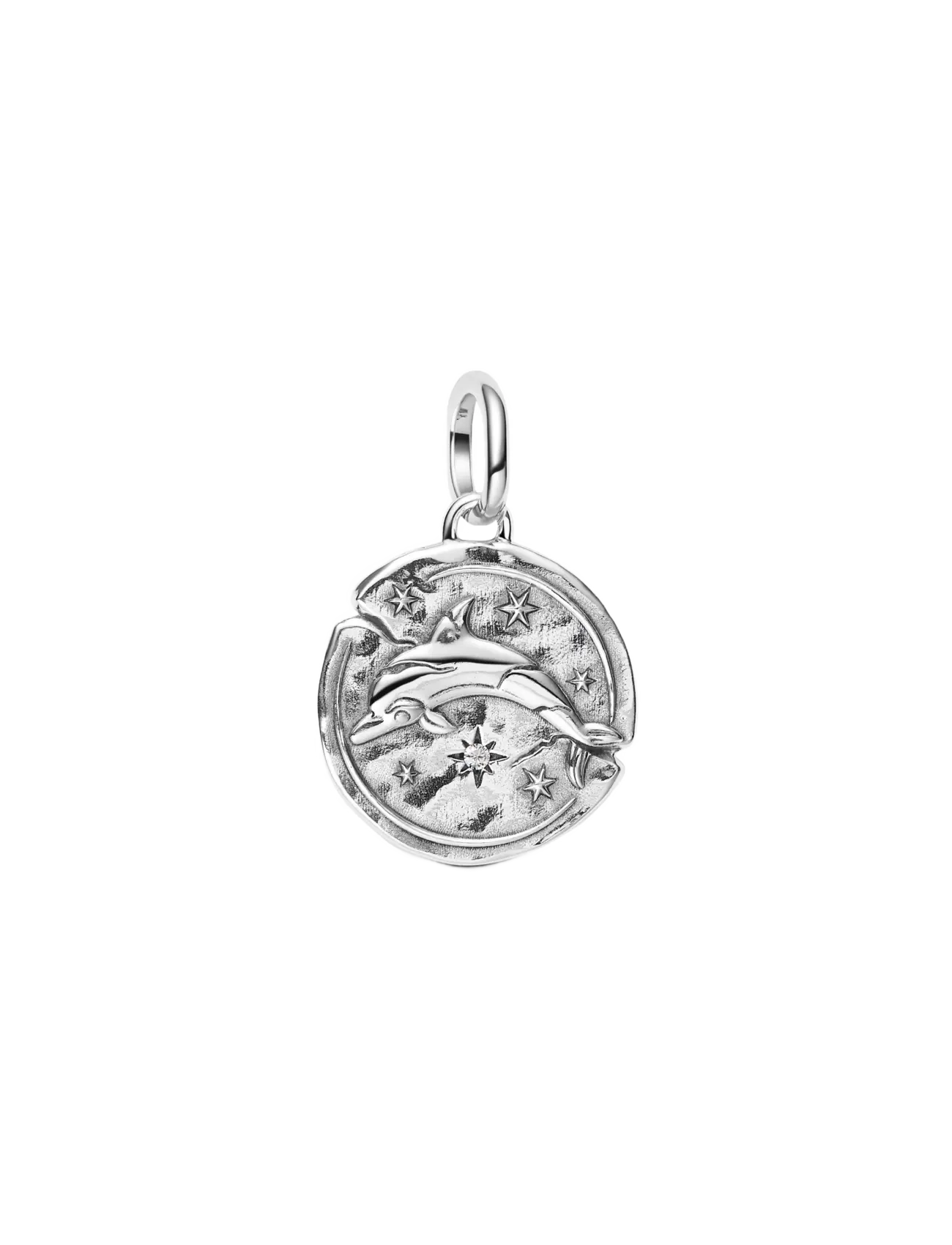 Pandora Dolphin Medallion Charm - Accessoarer - CLEAR / undefined