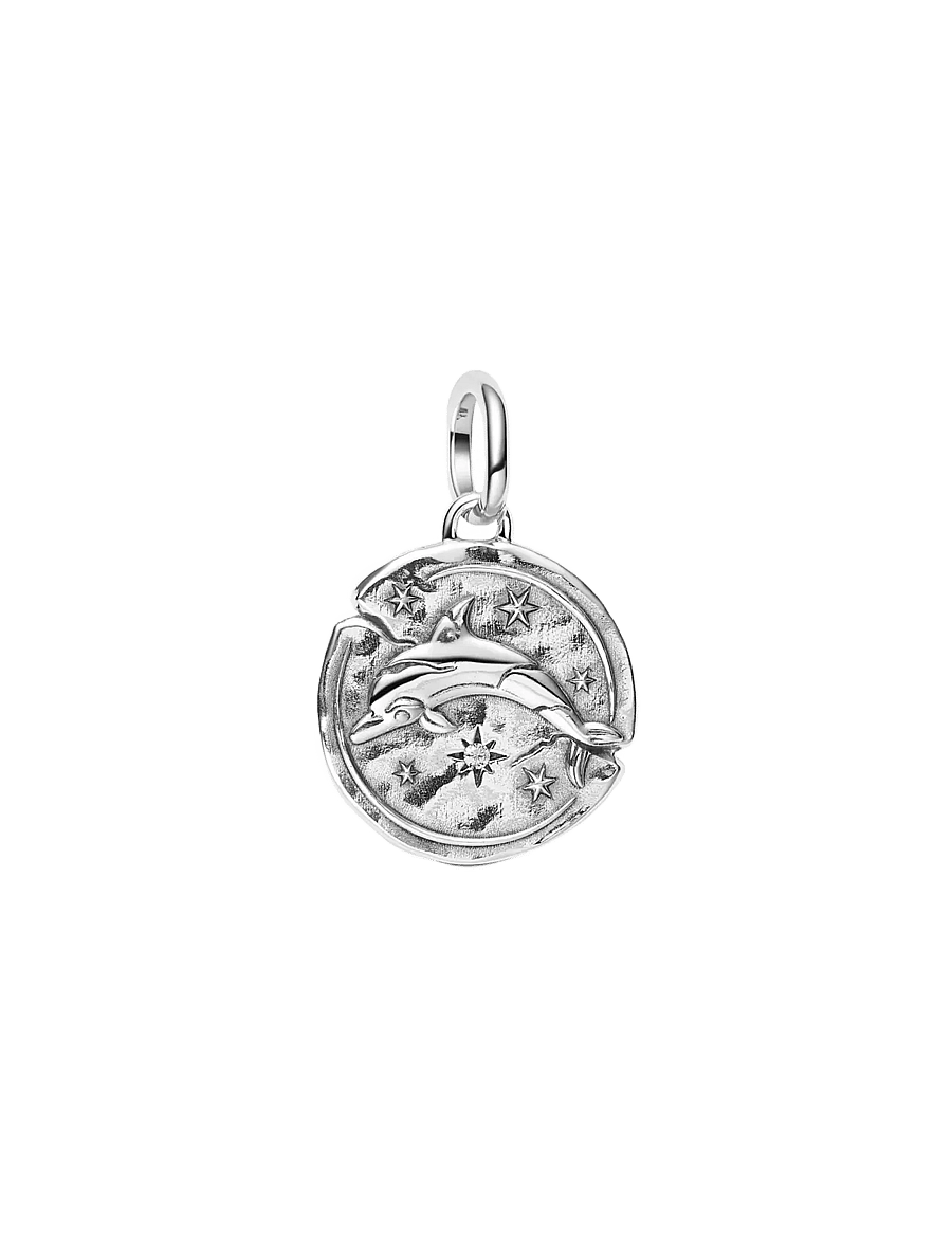 Pandora - Dolphin Medallion Charm - hängen & berlocker - clear - 1