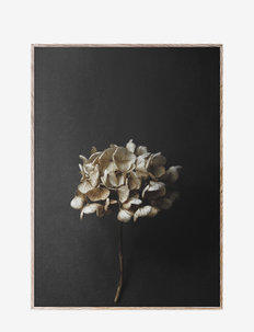 Still Life 04 30x40, Paper Collective