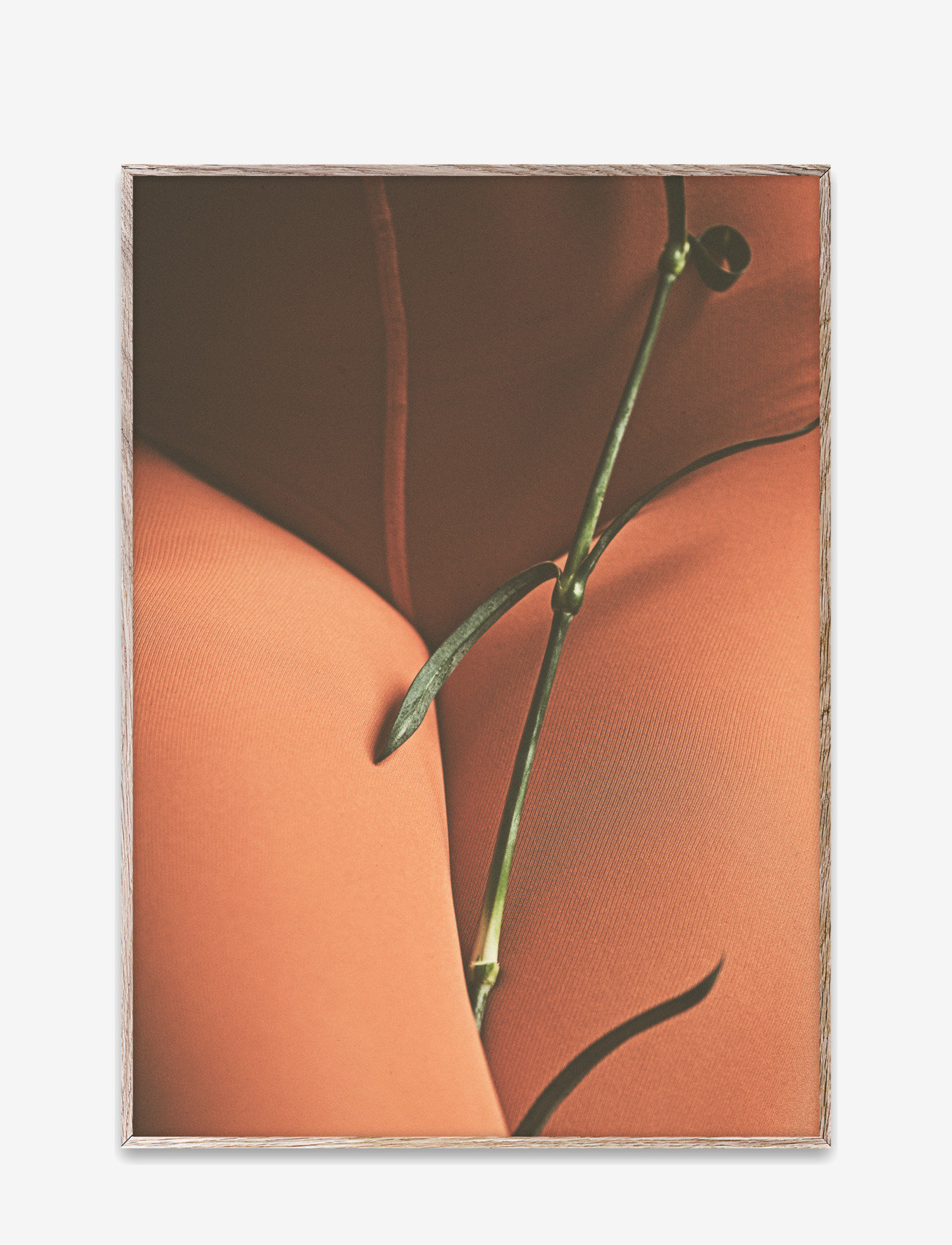 Paper Collective - Hold Tight 30x40 - fotod - multi - 0