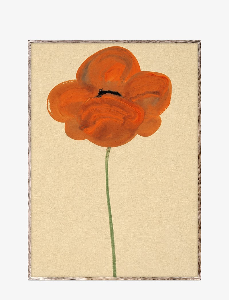 Paper Collective - Orange Vallmo - 30x40 - pink, red - 0