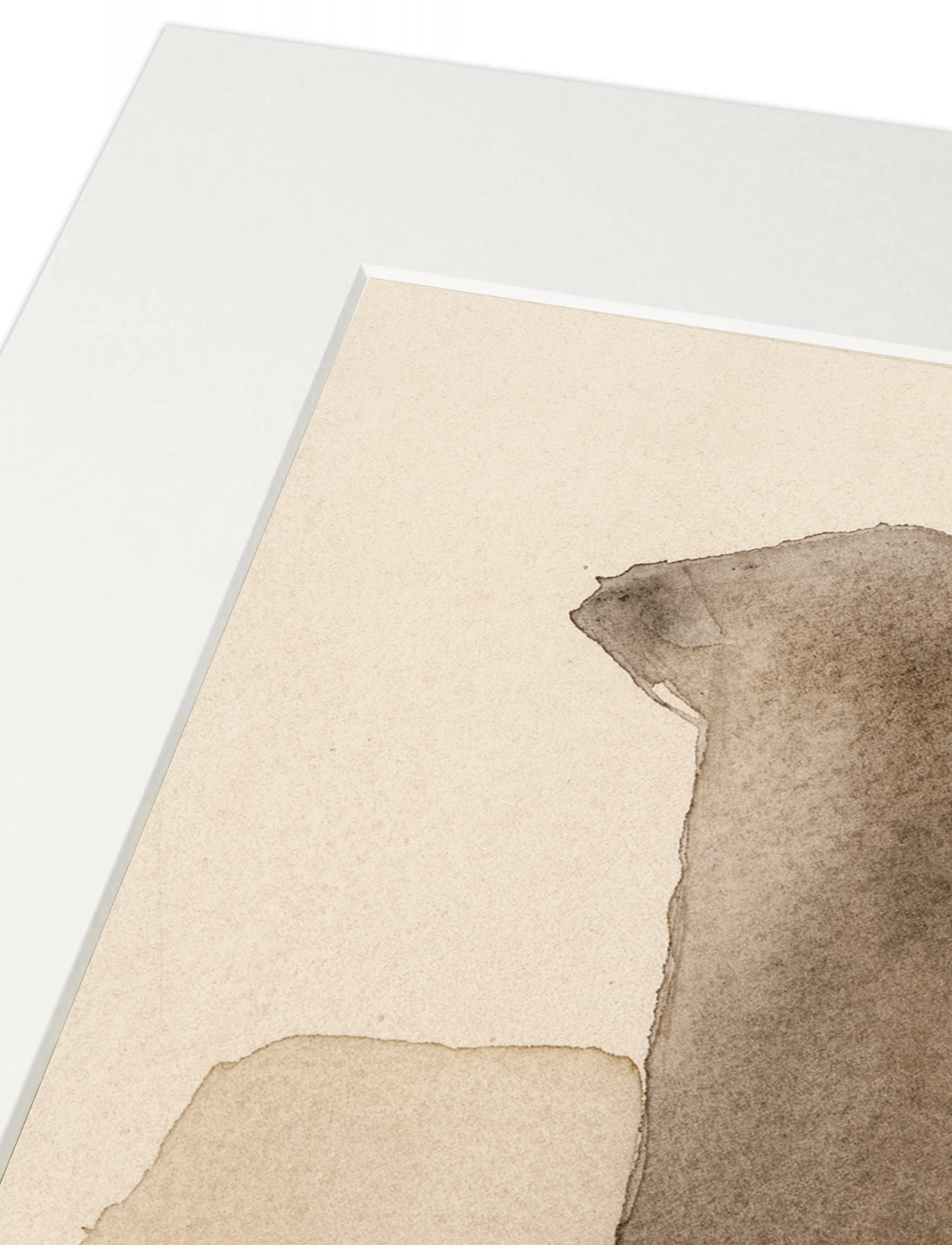 Paper Collective - Passepartout - White 30x40cm (opening for A5) - white - 5