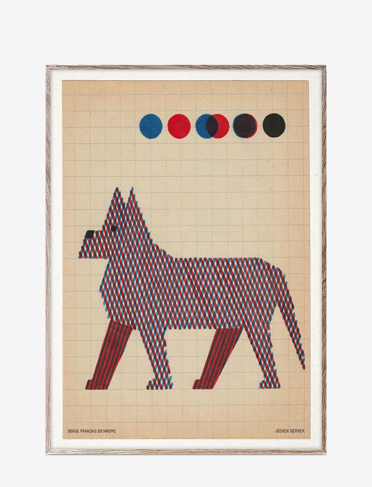 Paper Collective - Dog Sketch 02 - brown, beige - 0