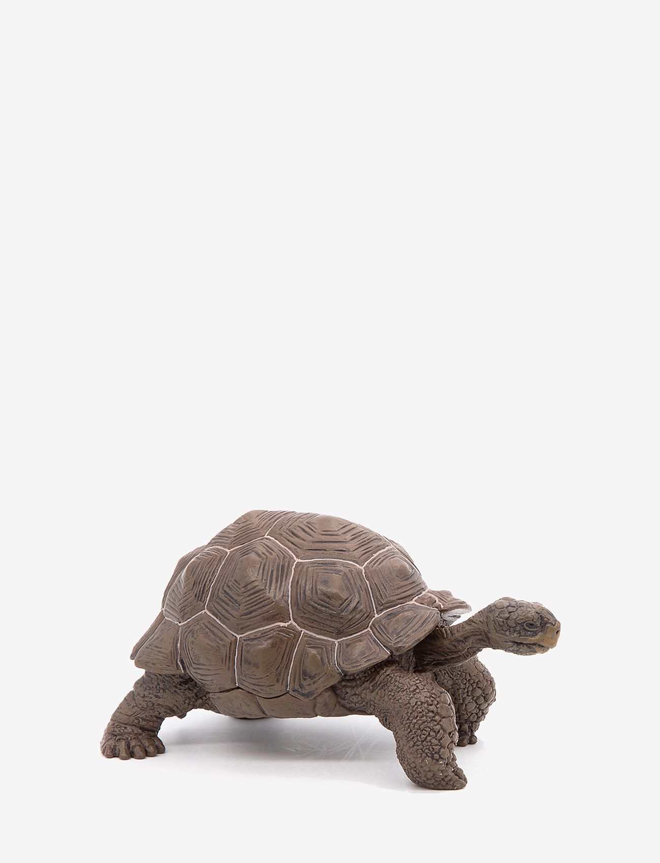 Papo - Galapagos Tortoise - multi - 0