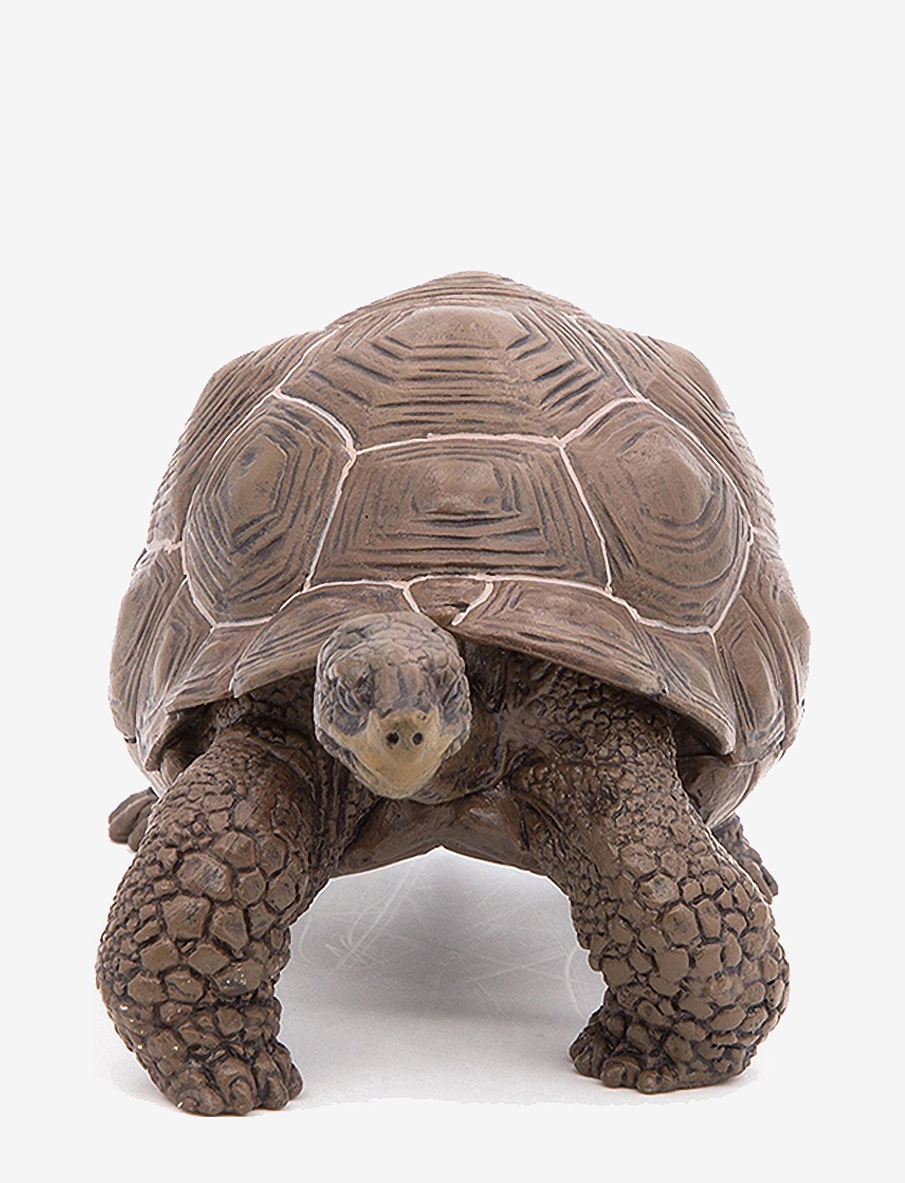 Papo - Galapagos Tortoise - multi - 1