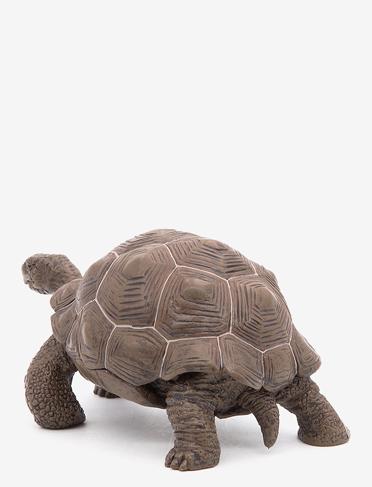Papo - Galapagos Tortoise - multi - 2
