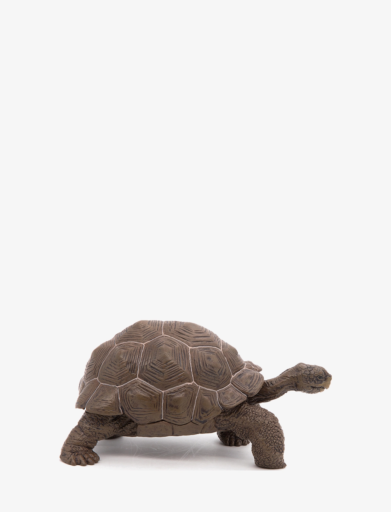 Papo - Galapagos Tortoise - multi - 3