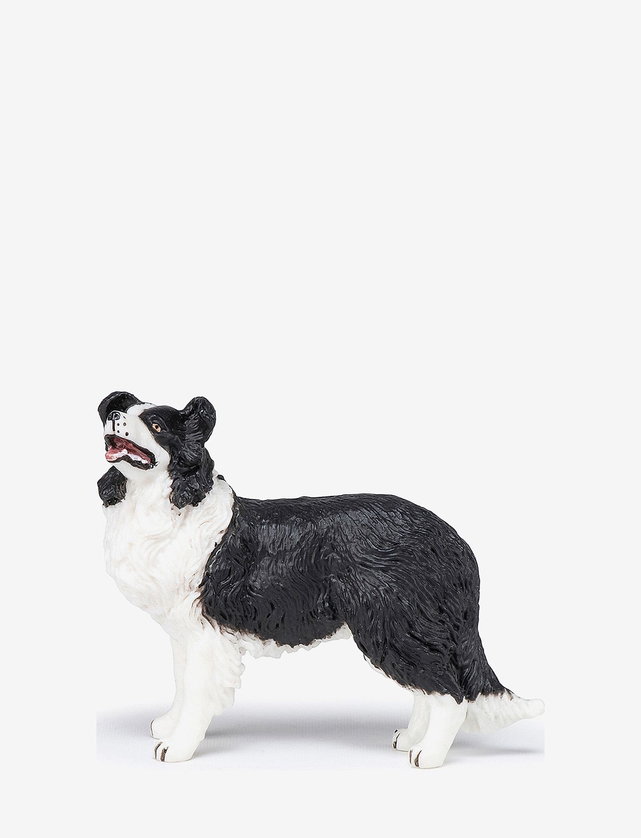 Papo - Border Collie - multi - 0