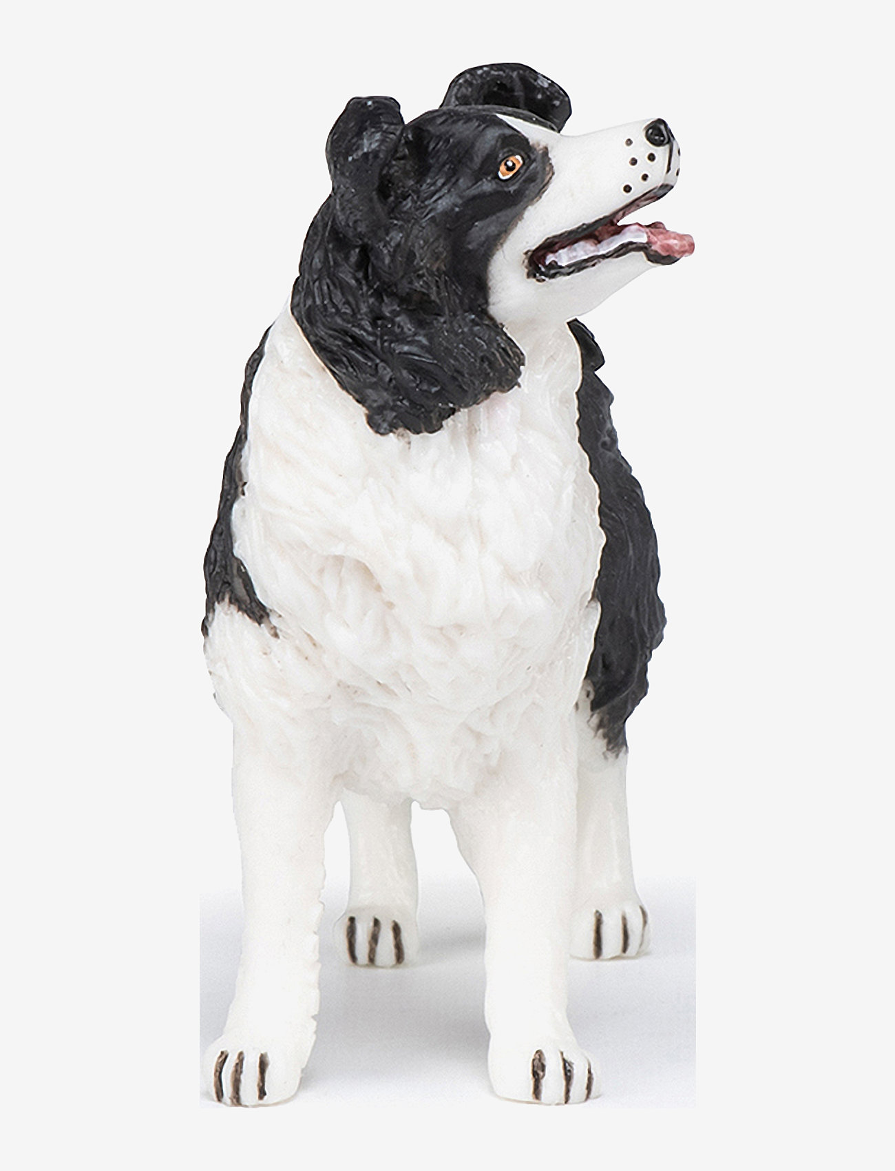 Papo - Border Collie - multi - 1