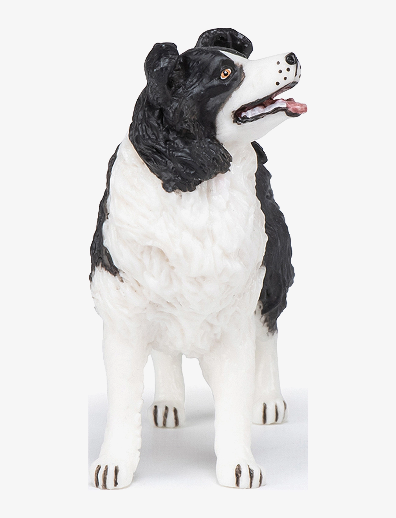 Papo - Border Collie - multi - 1