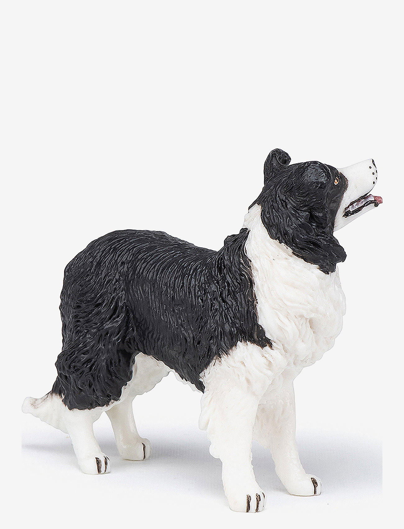 Papo - Border Collie - multi - 2