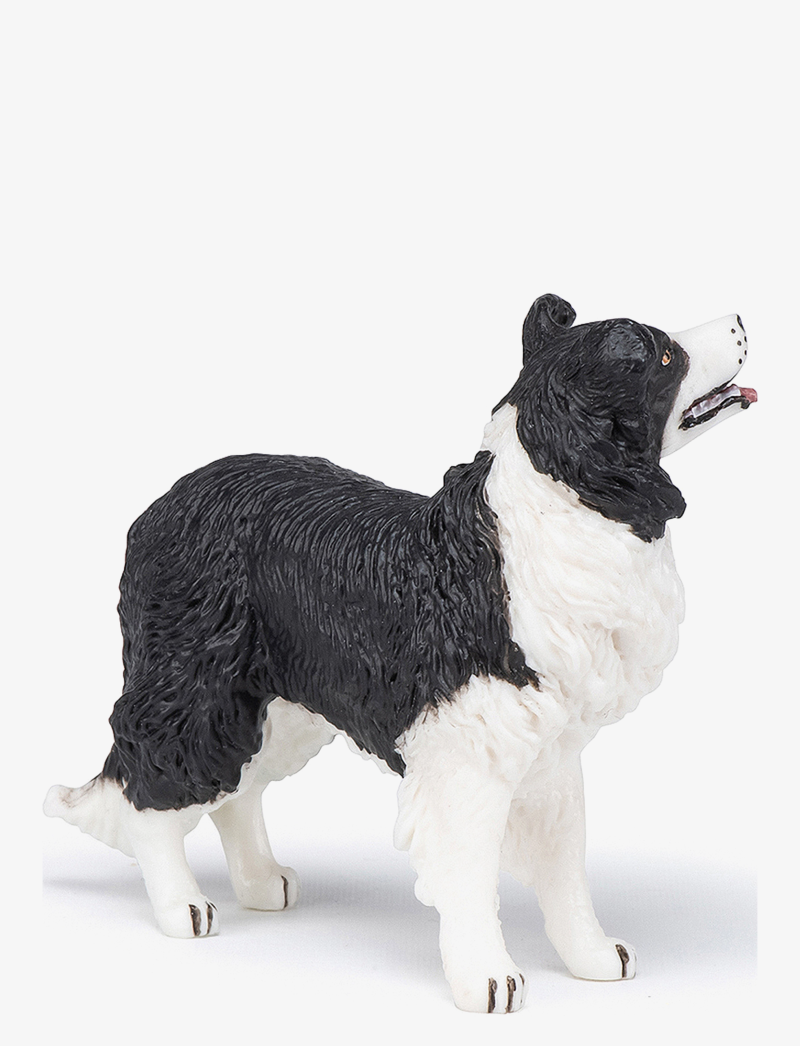 Papo - Border Collie - multi - 2