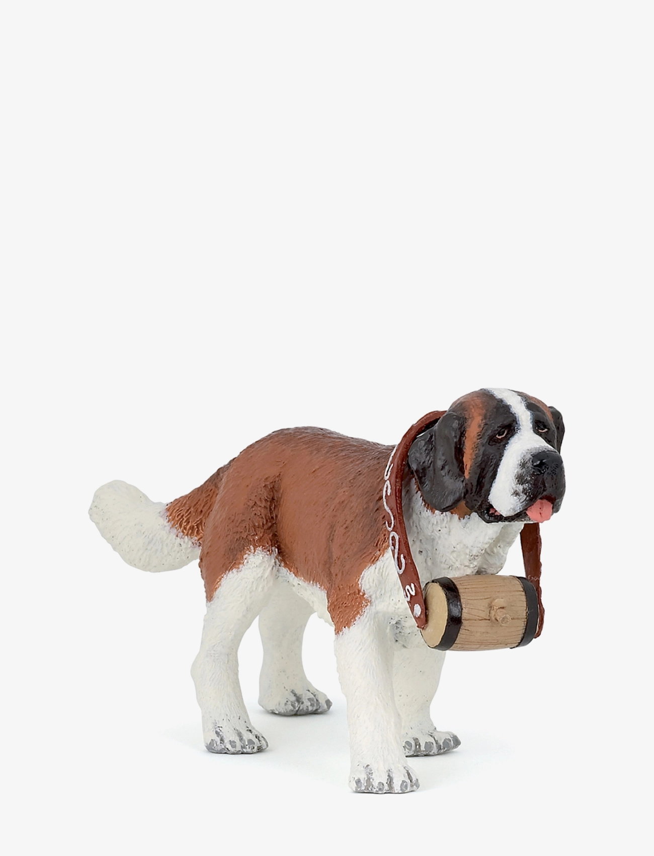 Saint Bernard - MULTI