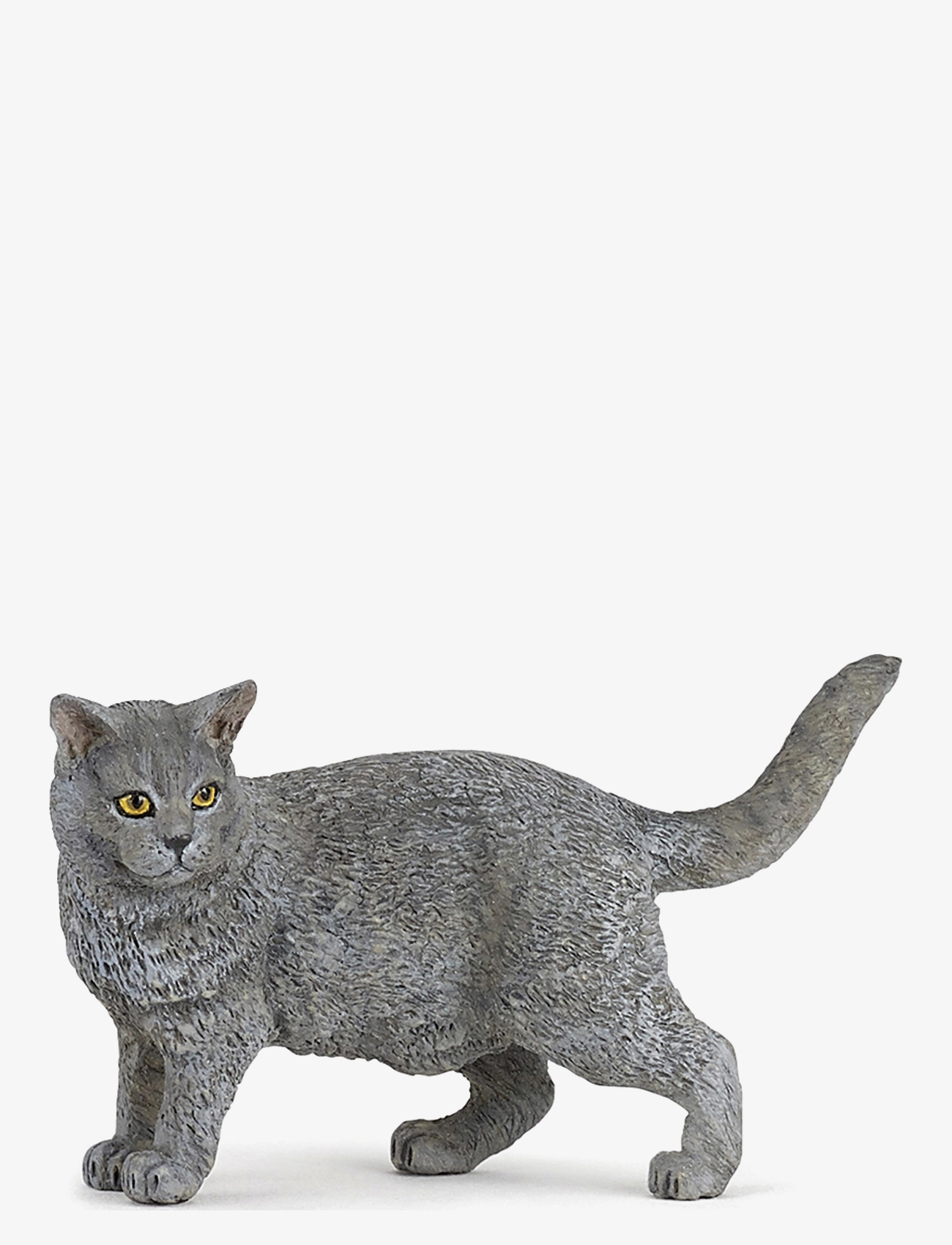 Chartreux Cat - MULTI