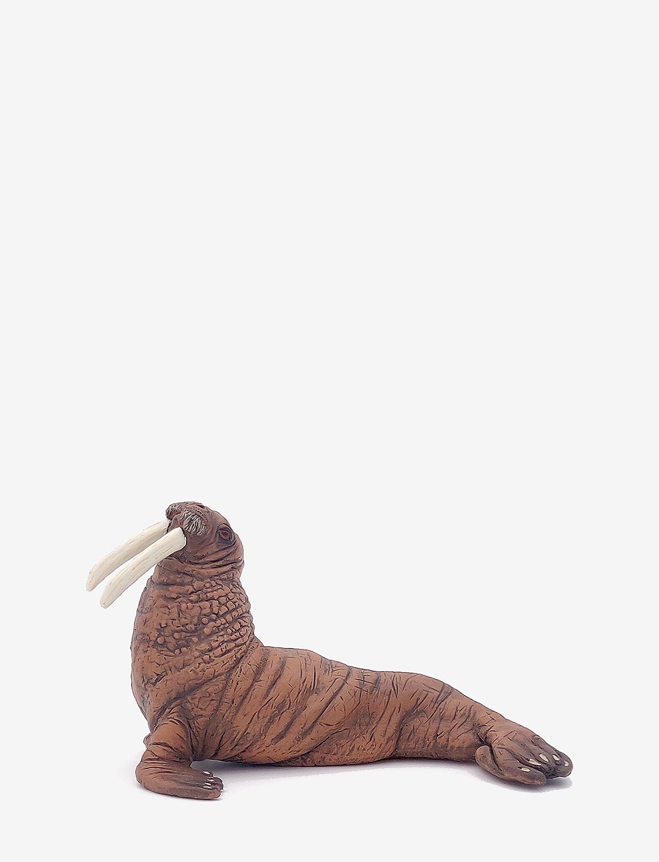 Papo - Walrus - multi - 0