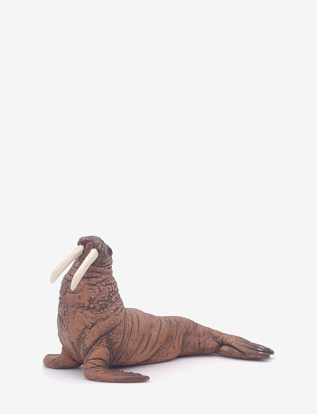 Papo - Walrus - multi - 1