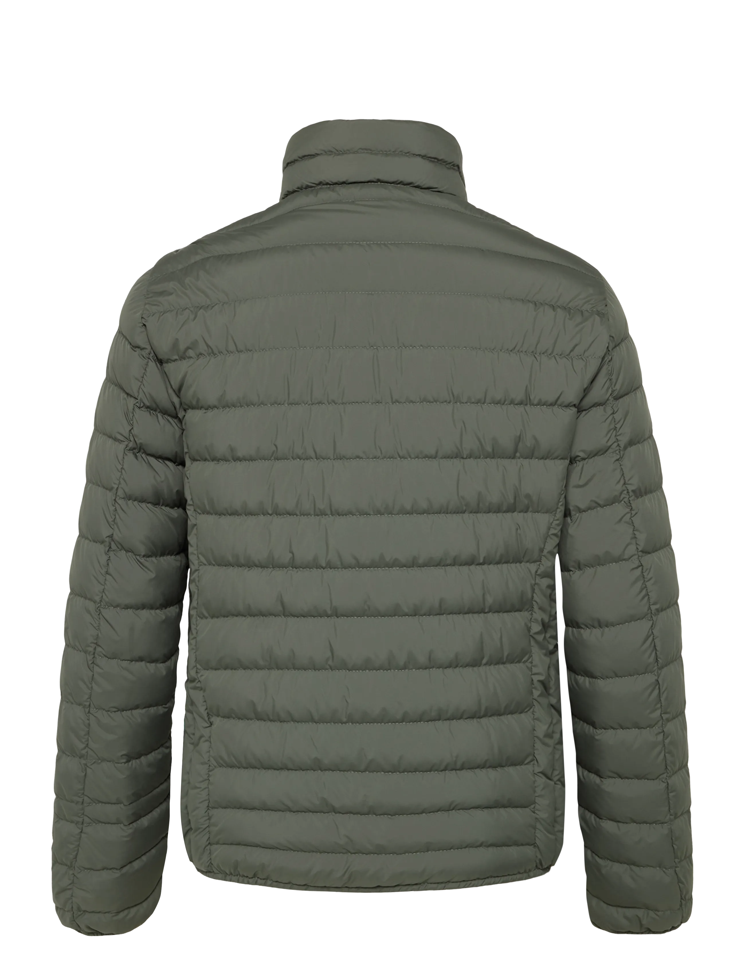 Parajumpers - Ugo Jacket - green - 1