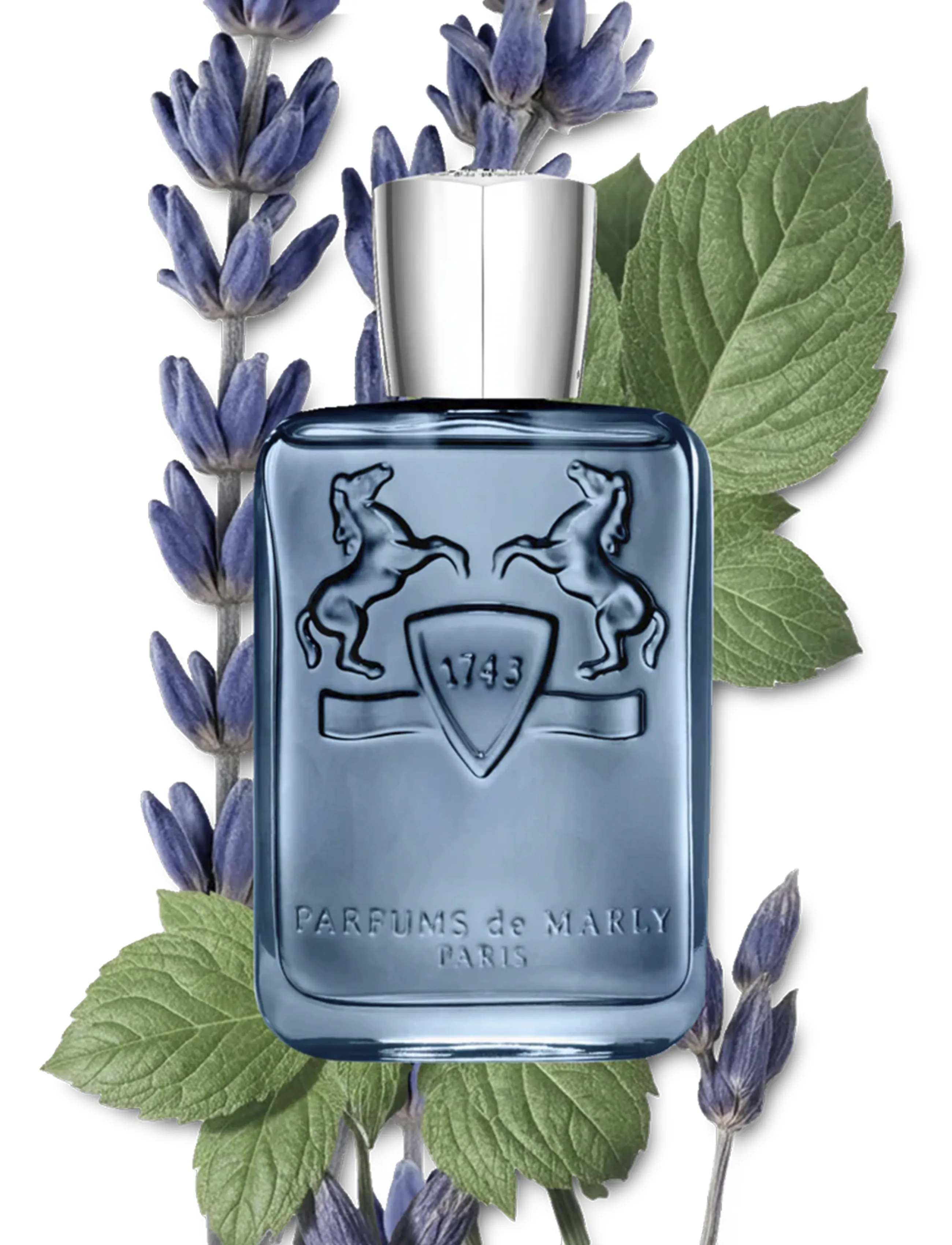 Parfums de Marly Pdm Sedley Man Edp 75 ml, 75 ml, Nude, Parfume > Eau De Parfum, Herre