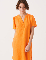 Part Two - AminasePW DR - shirt dresses - apricot - 2