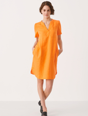 Part Two - AminasePW DR - marškinių tipo suknelės - apricot - 3
