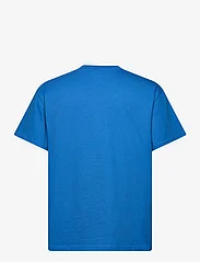 Pas De Mer - VAN DOG TEE - kortærmede t-shirts - royal blue - 1