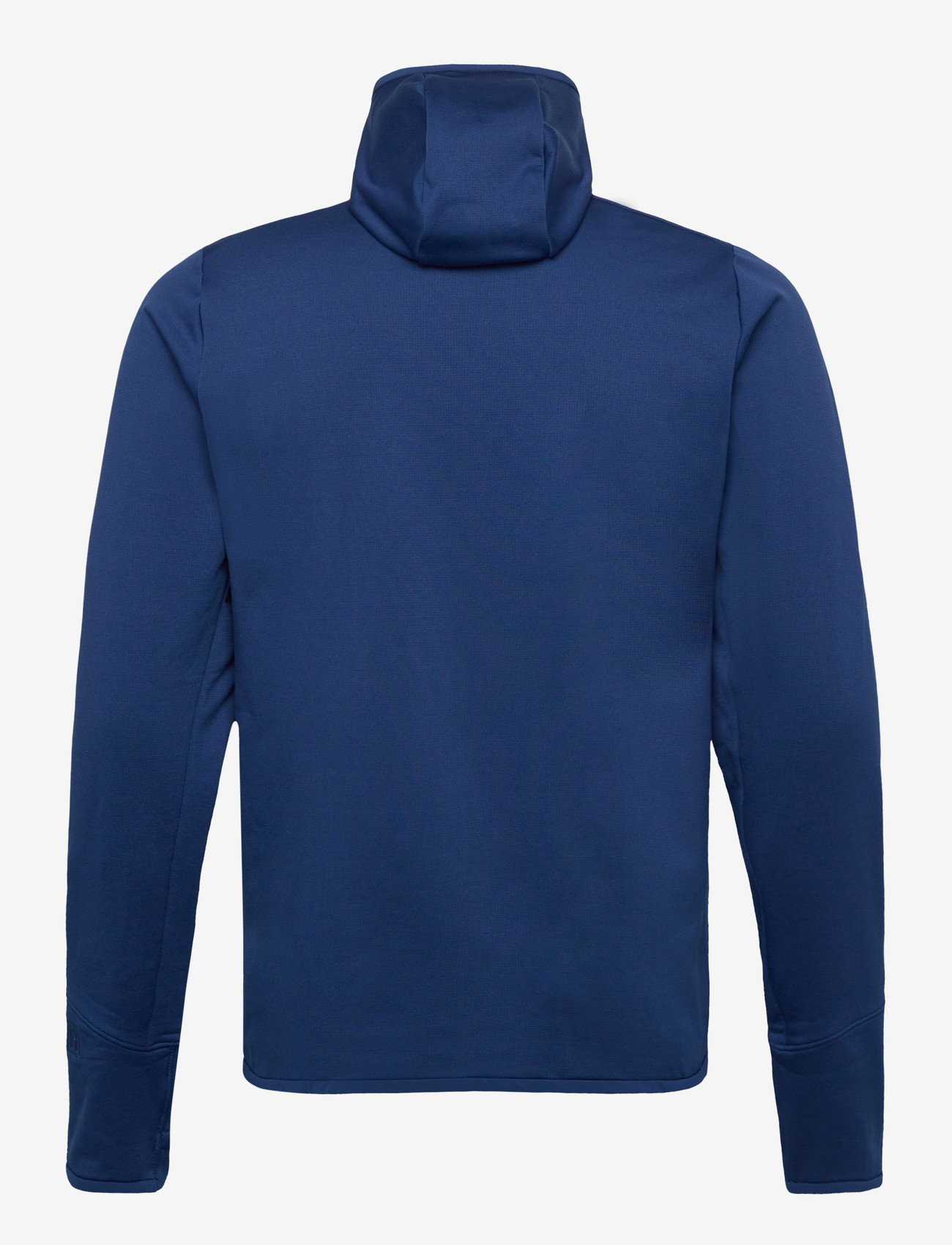 Patagonia - M's R1 Thermal Full-Zip Hoody - huvtröjor - clement blue - 1