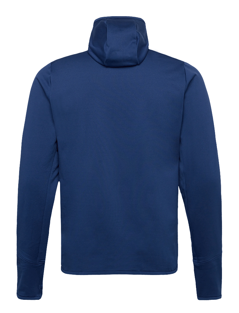 Patagonia - M's R1 Thermal Full-Zip Hoody - huvtröjor - clement blue - 1