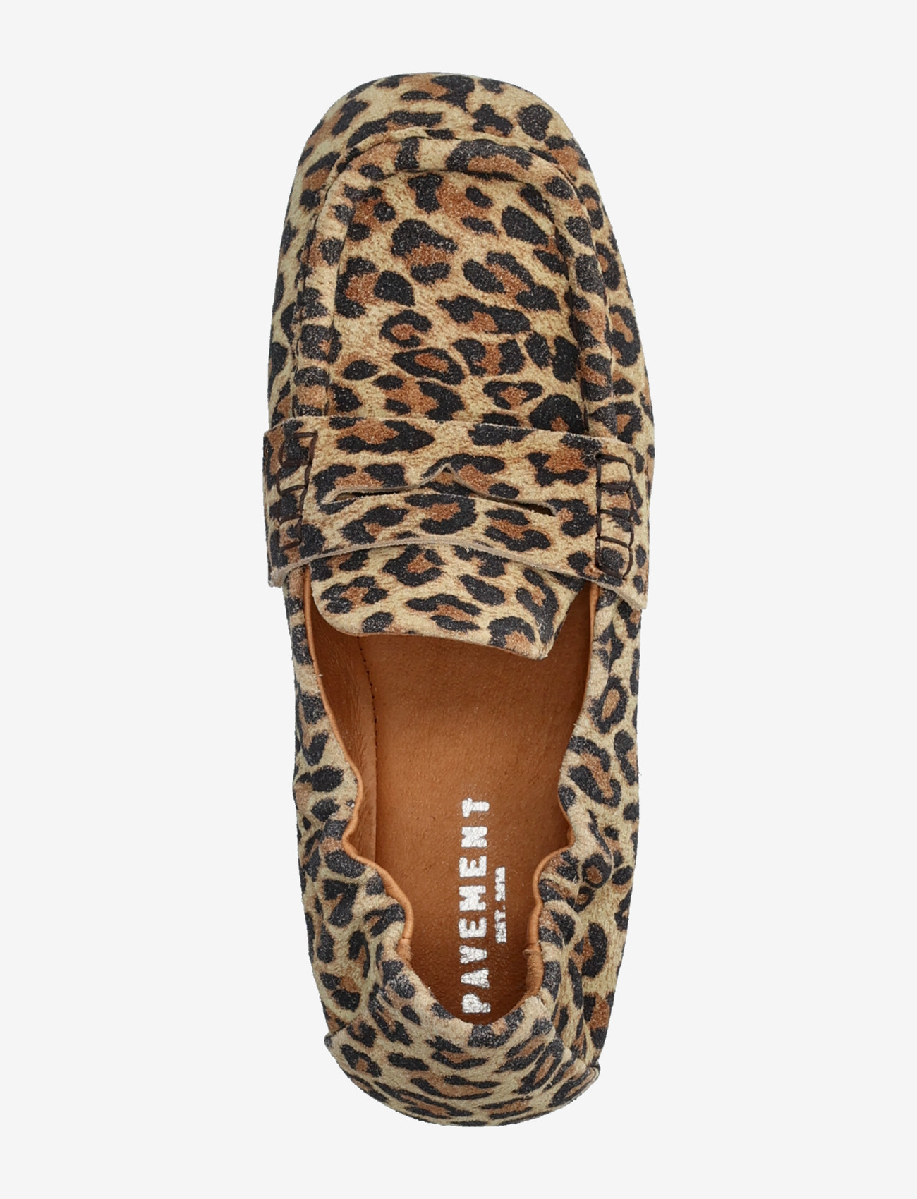 Pavement - PAHelios suede - særlige begivenheder - leo suede - 3