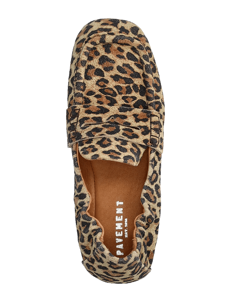 Pavement - PAHelios suede - særlige begivenheder - leo suede - 3
