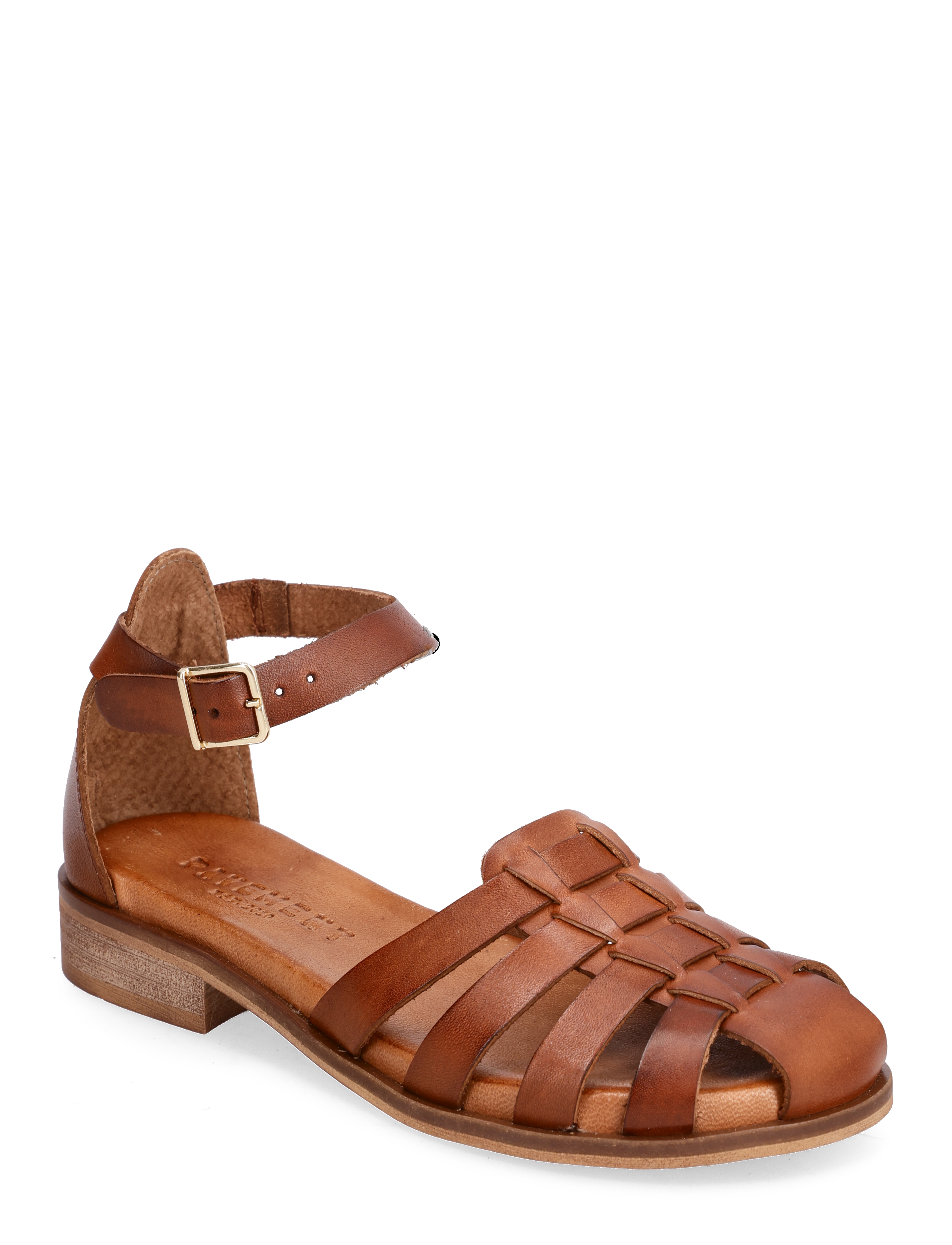 TAN
