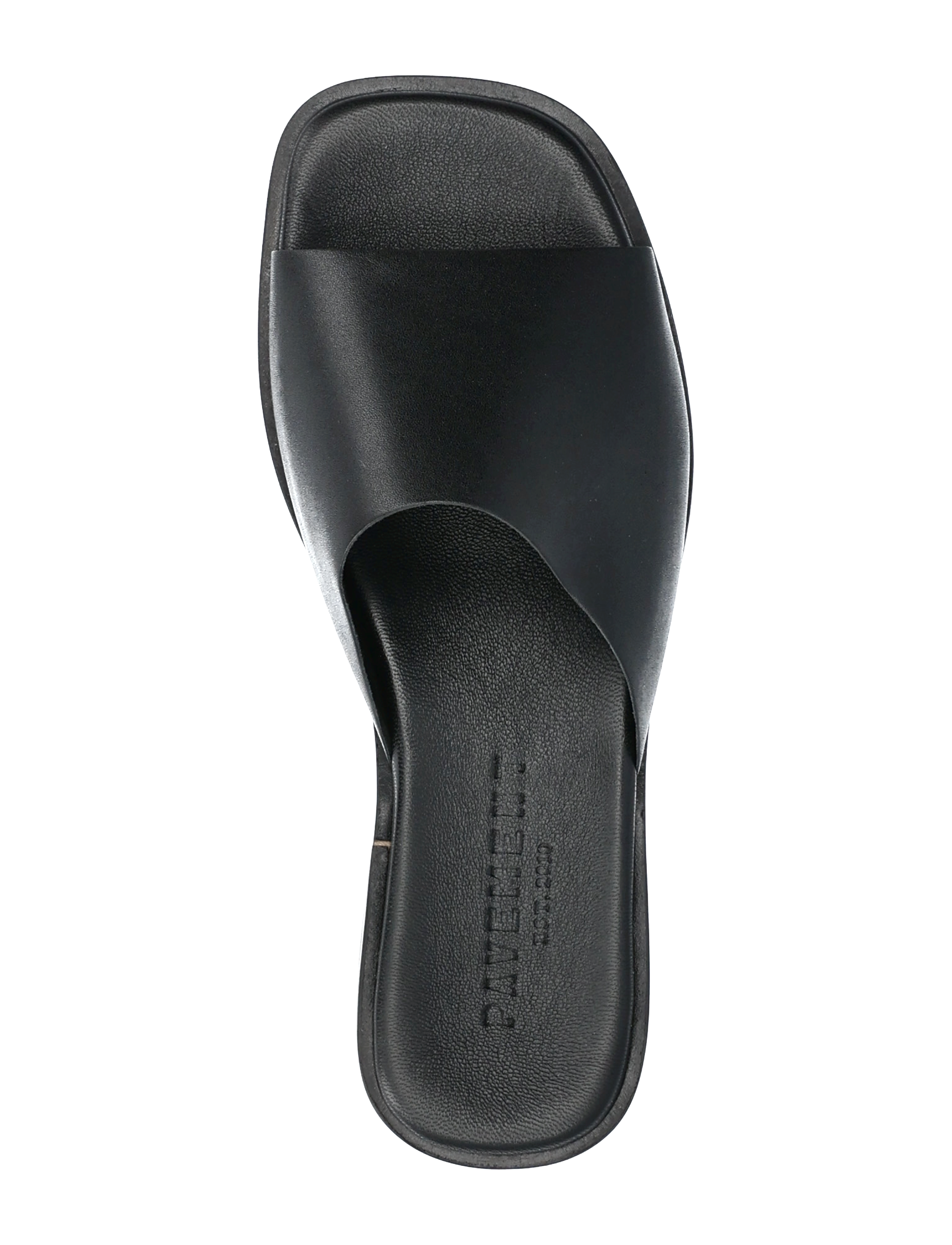 Pavement - Cian - black - 3