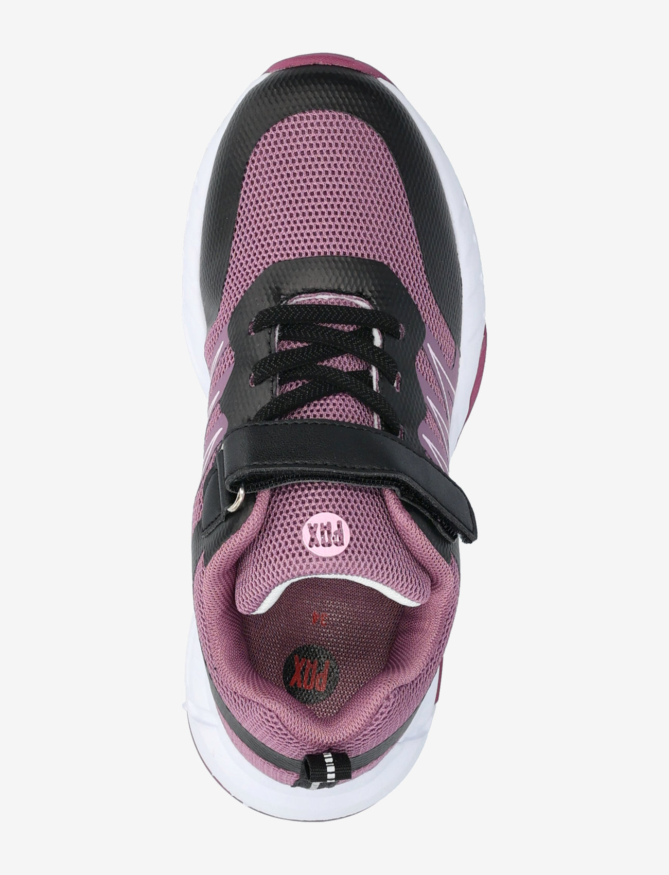 PAX - HELIX PAX - purple - 3