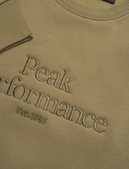 Peak Performance - W Original Crew-SNAP GREEN - fleecejacken - snap green - 2