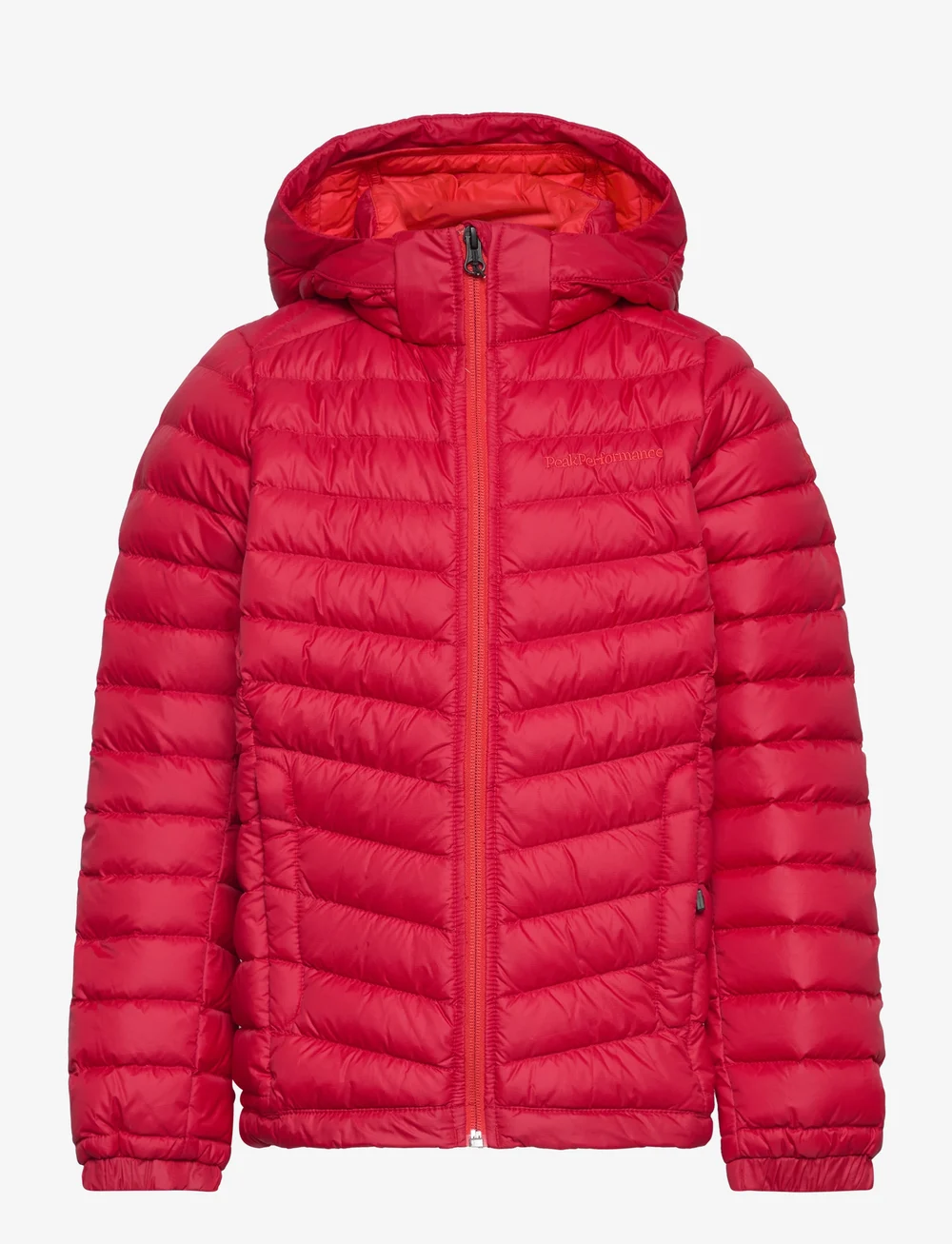 Frost down hot sale hood jacket