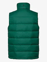 Peak Performance - M Frost Explorer Vest - outdoor & rain jackets - green ivy - 1