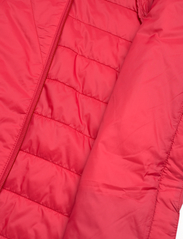 Peak Performance - W Insulated Liner Hood-RACING RED - down- & padded jackets - racing red - 4
