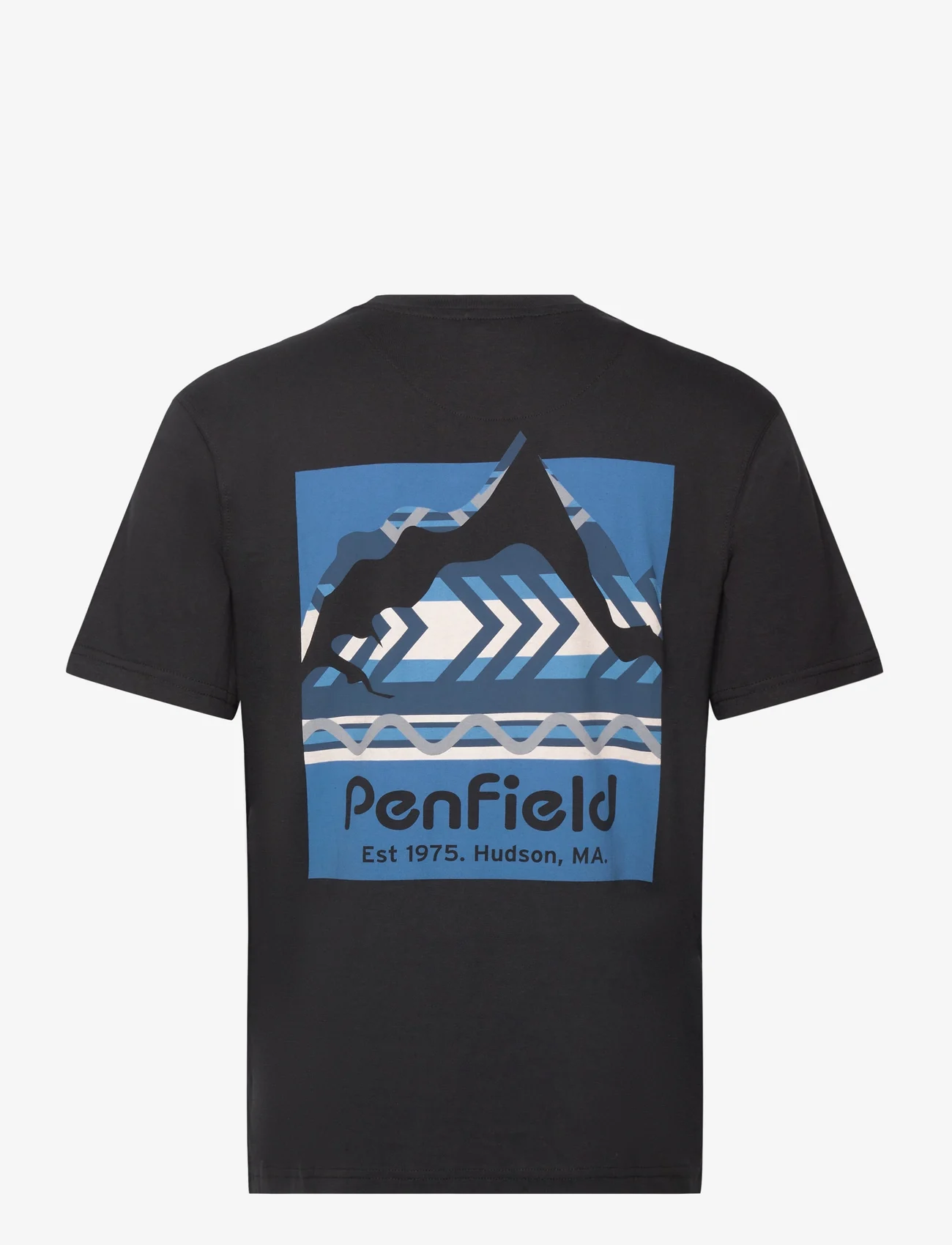 Penfield - Mountain Filled Back Graphic SS T-Shirt - short-sleeved t-shirts - black - 1