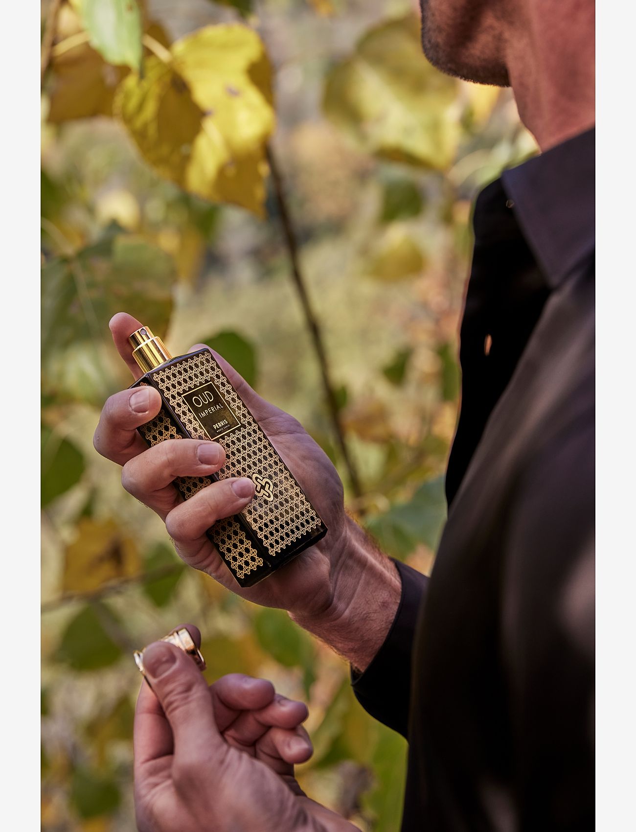 Perris Monte Carlo - OUD IMPERIAL - for him - clear - 3