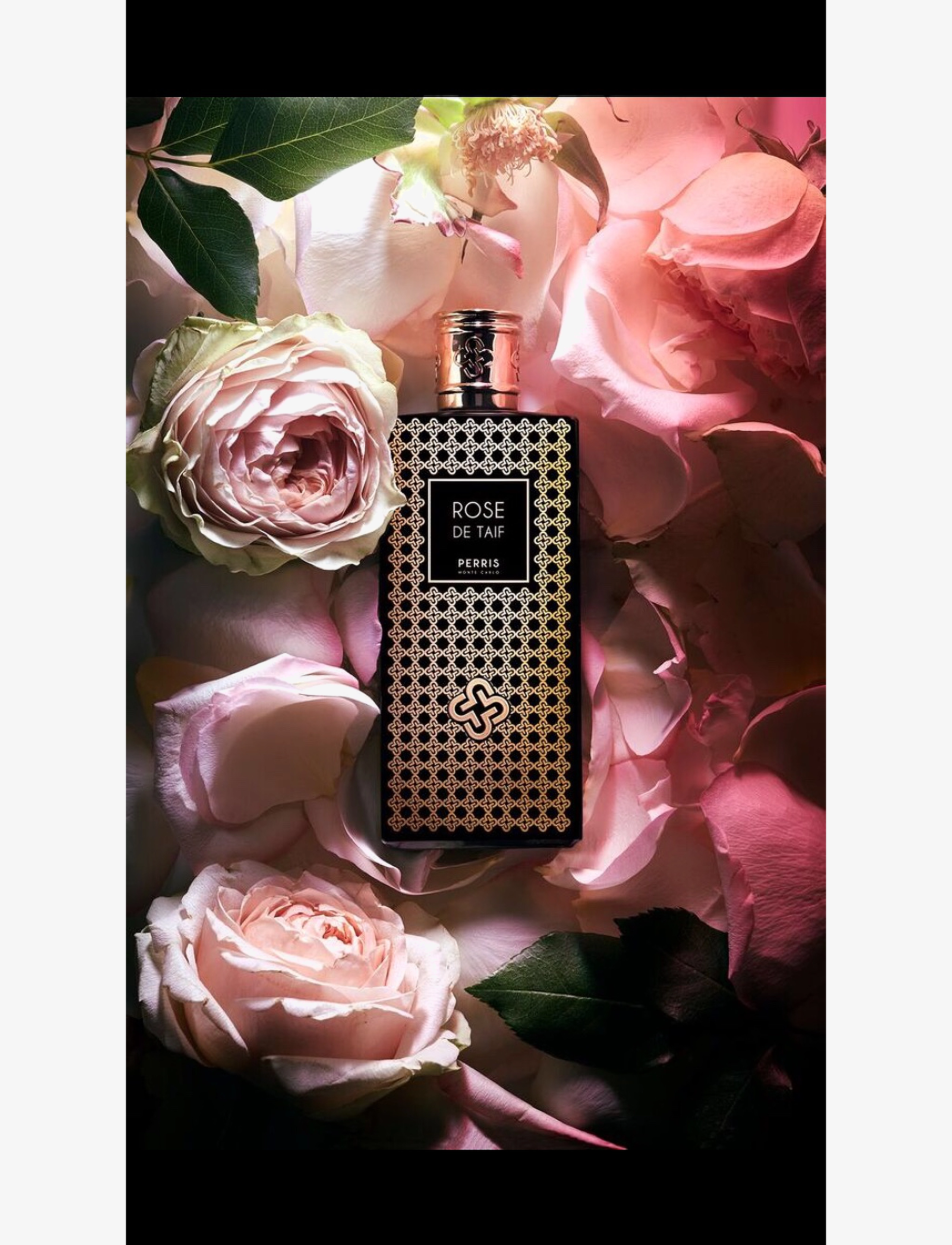 Perris Monte Carlo - ROSE DE TAIF - naistele  - clear - 1