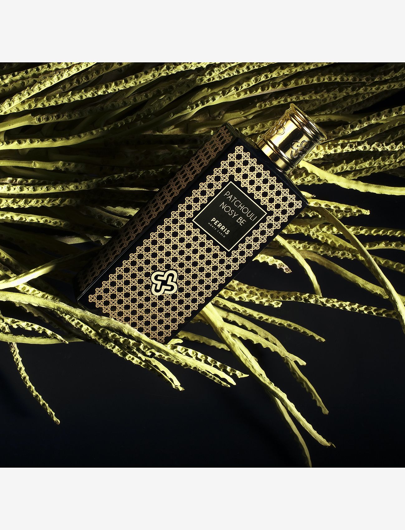 Perris Monte Carlo - PATCHOULI NOSY BE - til ham  - clear - 4