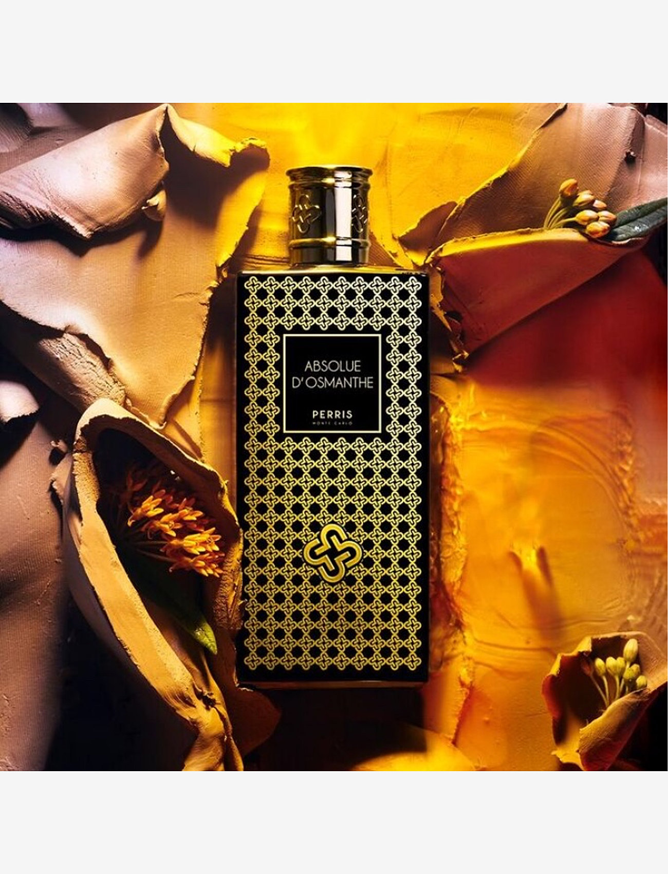 Perris Monte Carlo - ABSOLUE D'OSMANTHE - for him - clear - 1