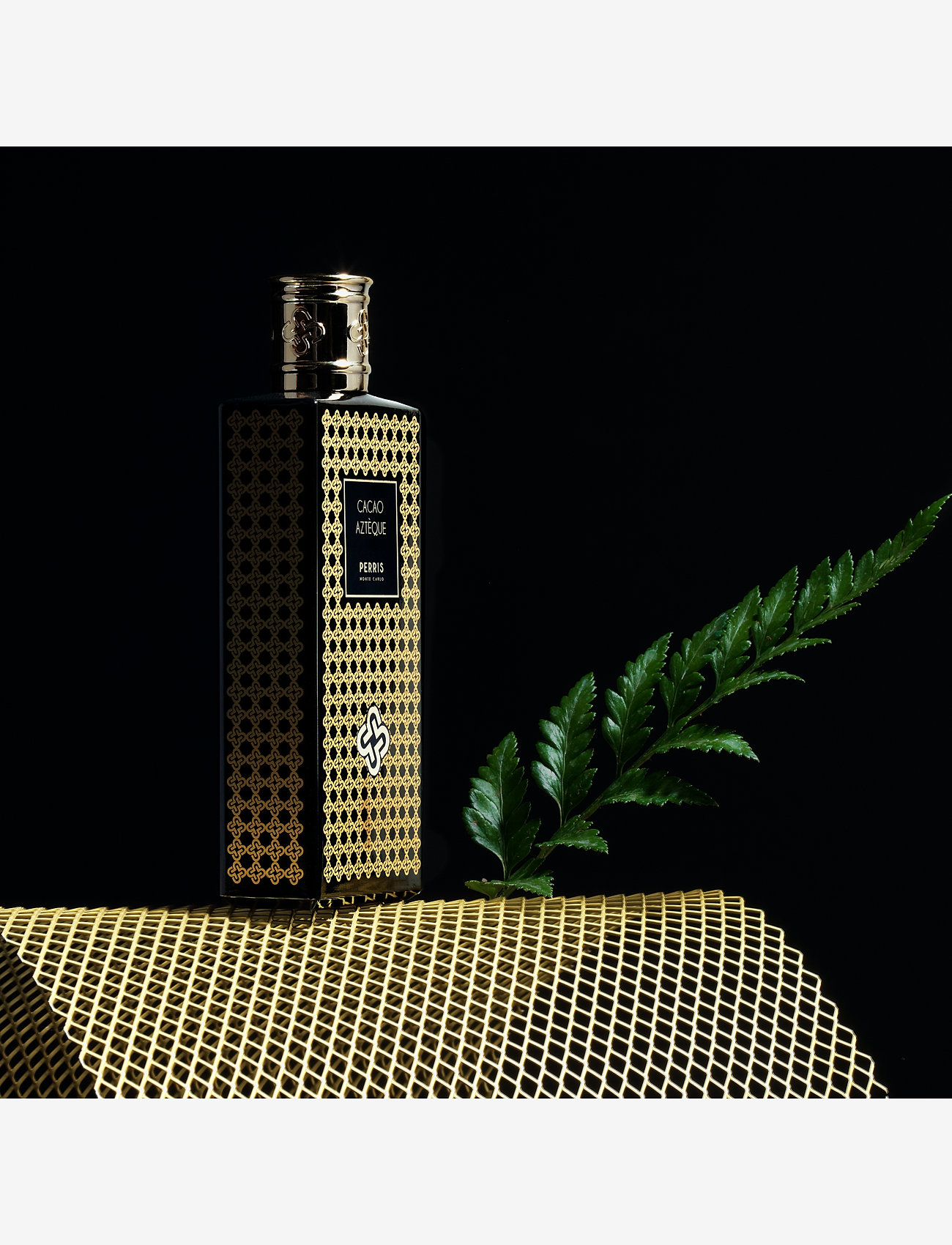 Perris Monte Carlo - CACAO AZTÈQUE - till honom  - clear - 4